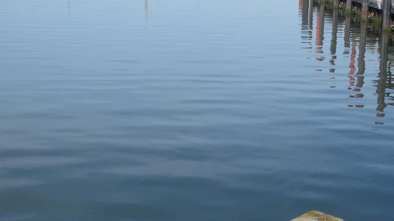 ruhige Nordsee 27 ruhige Nordsee 27